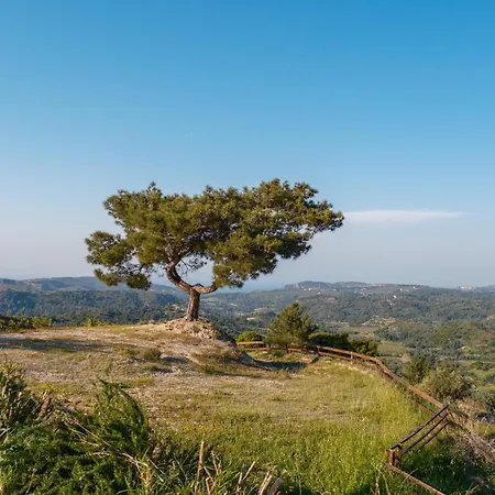 Salagro Seaview ヴィラ Sálakos