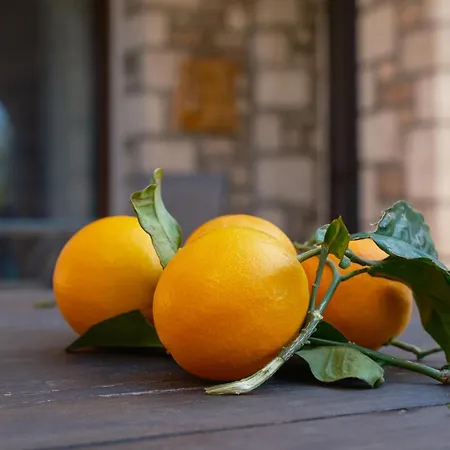 ヴィラ Salagro Seaview Sálakos