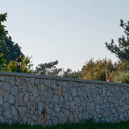 Salagro Seaview Villa *