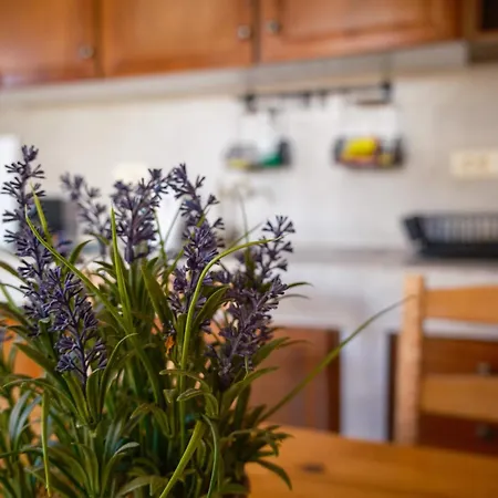 ヴィラ Salagro Seaview *