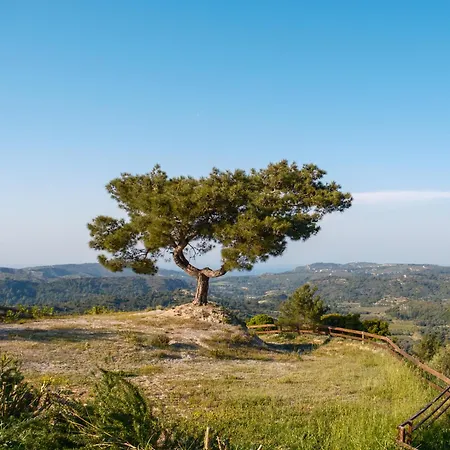 Salagro Seaview ヴィラ *